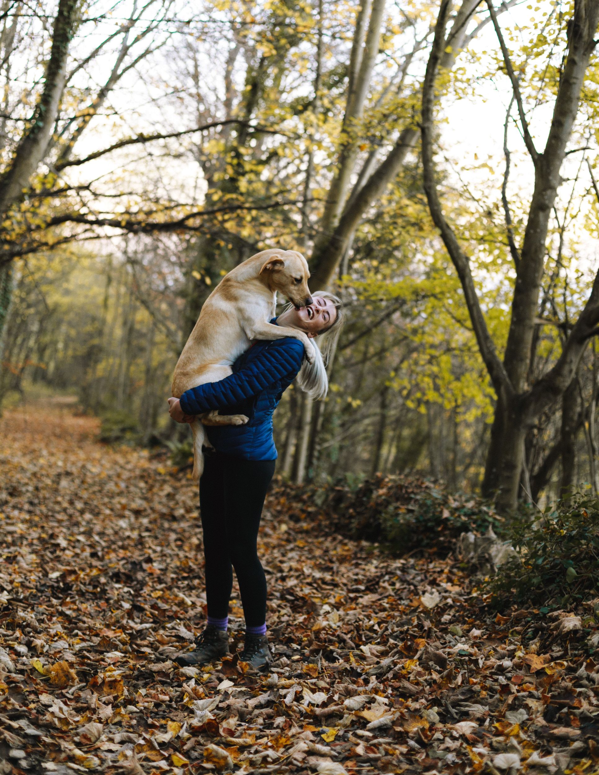 Dog in his owner's arms.