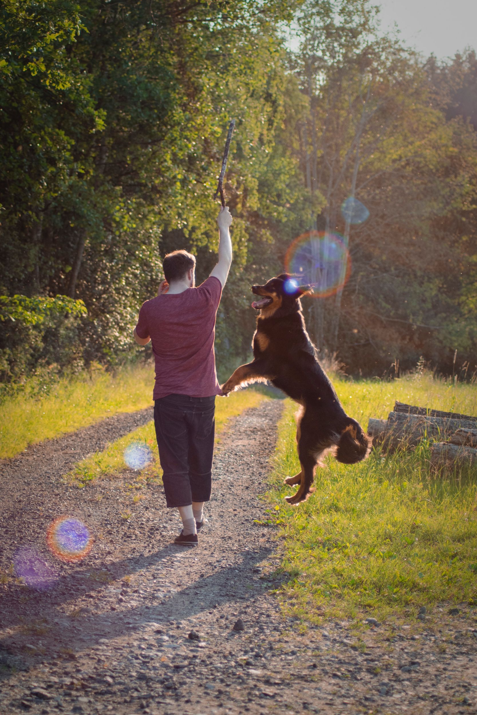 Dog and owner playing. Photo by Luna Lovegood from Pexels